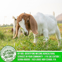 OFI 985: Identifying Missing Agricultural Services In Your Community | FFA SAE Edition | Sierra Boggio | Red Lodge High School FFA