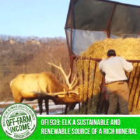 OFI 939: Elk, a sustainable and renewable source of a rich mineral | FFA Edition | Andrew Mehus | Cochrane-Fountain City High School FFA