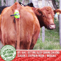 OFI 1041: Getting Sleep During Calving Season | Stephen Fagan | Moocall