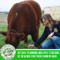 OFI 959: Planning Multiple Streams Of Revenue For Your Farm In High School | FFA SAE Edition | Emma Victery | Chickasha High School FFA