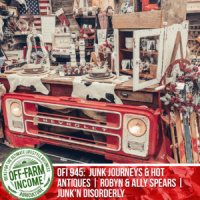 OFI 945: Junk Journeys  Hot Antiques | Robyn  Ally Spears | Junk’n Disorderly
