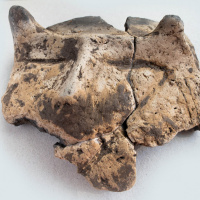 Śladami pierwszych rolników