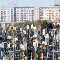 Przyszłość cmentarzy: przestrzeń dla zmarłych i życie miast [Tematy Tygodnika]