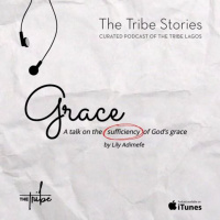 The Tribe Stories VIII (Grace) by Lily Adimefe