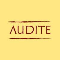 #9 Audite: with Legoniums Anthony Gibbins