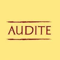 Introducing Audite 