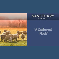 Sermon | A Gathered Flock