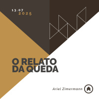 O Relato Da Queda - Ariel Zimermann