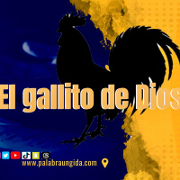El gallito de Dios /Edgar Calderon/Palabra Ungida