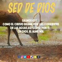 Sed de Dios /Edgar Calderon/Palabra Ungida