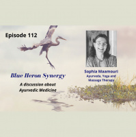 Ayurveda, Massage  Yoga - Sophia Maamouri, Blue Heron Synergy