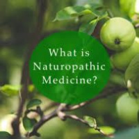 Episode 7-Naturopathic Medicine with Sarah Buck, ND