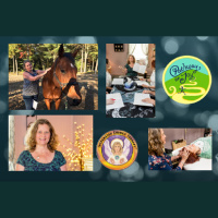 Episode 55 - How Alternative Therapies Can Help You and Your Pet with Linda Huitt