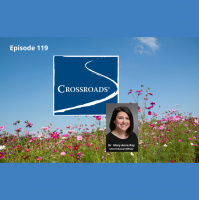 Crossroads - Offering Addiction  Behavioral Health Treatment Programs - Dr. Mary Anne Roy, Psy.D., CCS - Episode 119