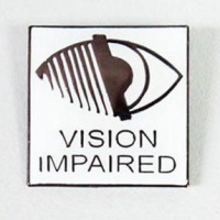 Episode 13-The Iris Network-Blindness  Visual Impairment