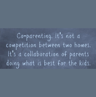 Episode 48 - Divorce, Co-Parenting  Re-Partnering with Counseling  Mediation Expert, Terri Decoster