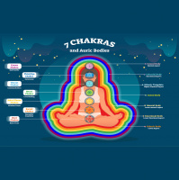 Episode 86 - The Human Energy Field  Meditation with Transformational Healer  Gifted Intuitive Sarabelle