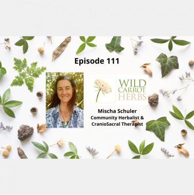 Living Life With Lynda Show