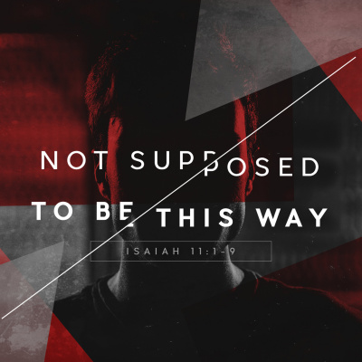 Cornerstone Alliance Church