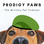 Prodigy Paws Podcast
