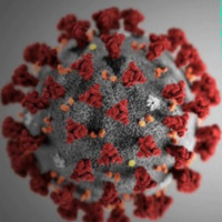 Corona virus impacts sports