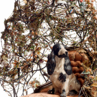 Episode 10 - visit to the launch party at the Glenbow museum