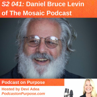 S2 041: Daniel Bruce Levin of The Mosaic Podcast