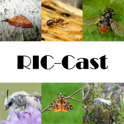 Ric-cast