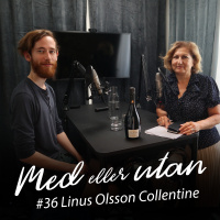 #36 Linus Olsson Collentine