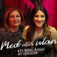 25. Nikki Amini - Ny version!
