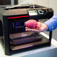 A sneaky 3D printed revolution