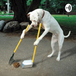 Unnecessary Coverage