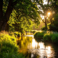 The Dreaming Drift: Flow with River, Birds,  Ambient Calm