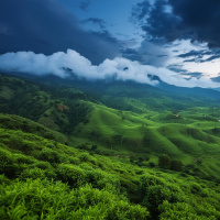 *BONUS EPISODE* Lowland Nights: ASMR Sleep with Rain and Tabla Rasa