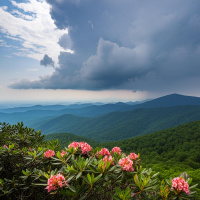 *Bonus Episode* Summer Rain  Thunder in the Appalachian Wilderness