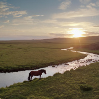 Echo Springs: A Journey to Remote Tranquility