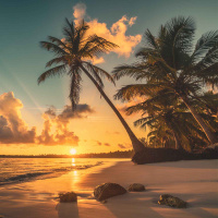 Dreams on the Island of Shells: A Sleep Story Immersed in Nature