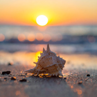 The Magic Bag and the Island Within Yourself