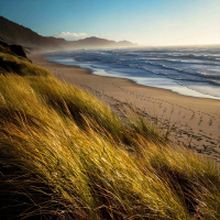 Theta Waves  Nature: Birds and Ocean Waves for Relaxation