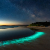 Bioluminescent Beach Bliss: A Guided Sleep Story