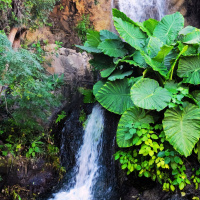 Waterfall Sanctuary: Gentle Nature Soundscape for Deep Rest