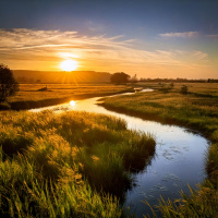 The River Alde – A Dreamlike Journey Through Nature  Myth