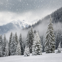 **Bonus Episode** Snow Storm AMSR For Sleep