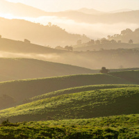 The Field of Dreams: A Guided Journey to Connect with Lost Loved Ones