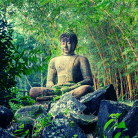 Dreaming in the Bamboo Forest: Gentle Windchimes for Sleep  Deep Calm