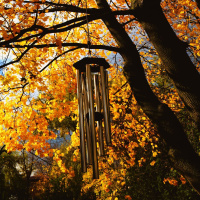 Autumn Wind  Chimes | Night Forest Sounds for Sleep