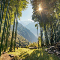 **Bonus Episode** Sitar Meditation in the Himalayan Bamboo Forest