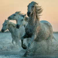 White Horse Point | Guided Visualization for Sleep