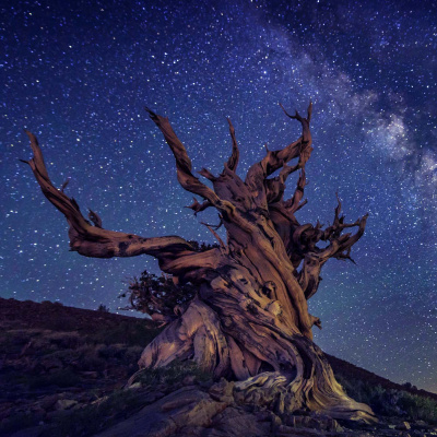 Guided Meditation For Sleep.