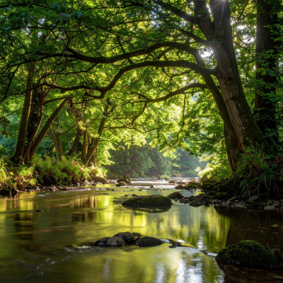 Guided Meditation For Sleep.